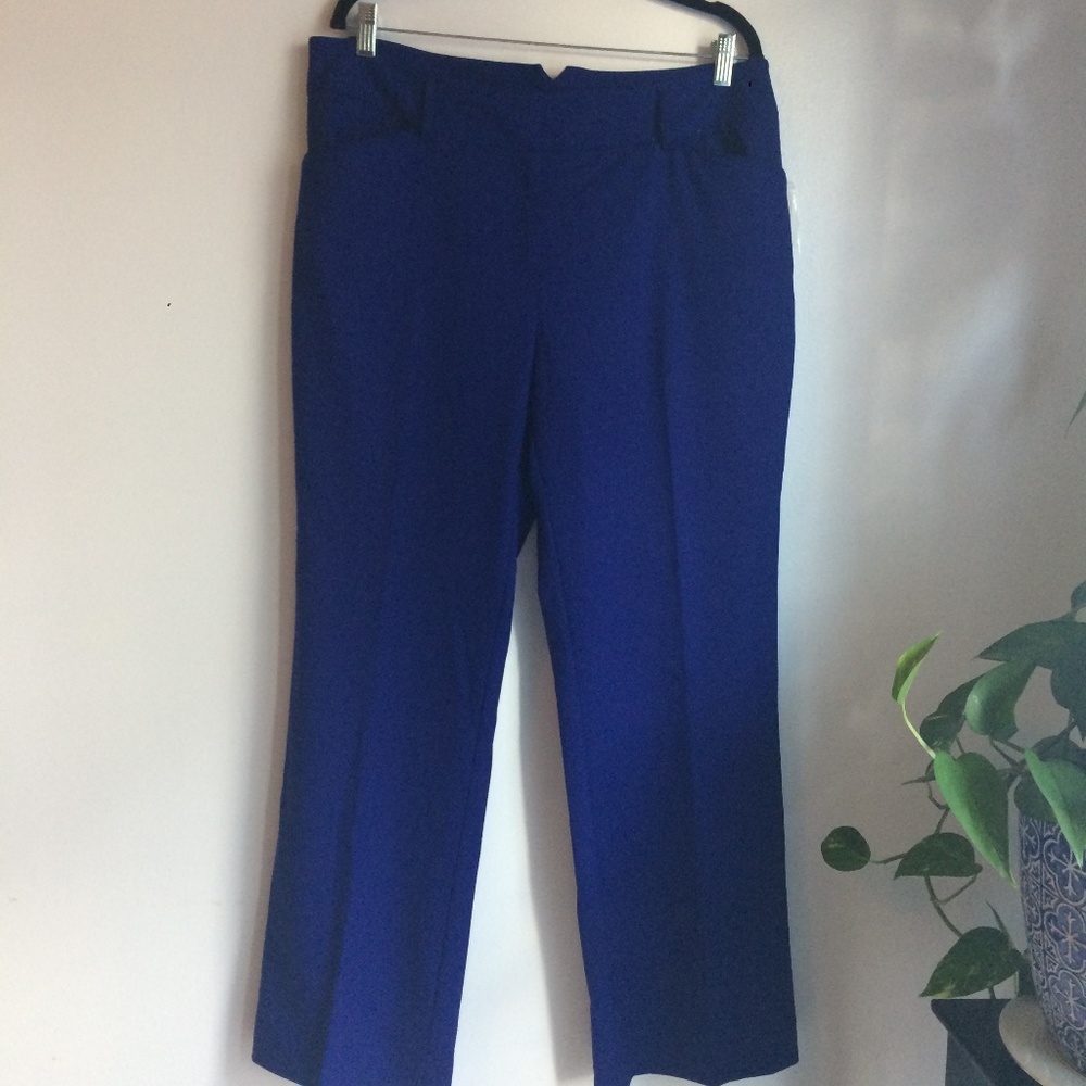Adrianna Papell electric blue trousers, size 14, new with tag